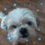 Lori Bauer's profile image