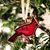 Jennifer Metcalf Heffernan's profile image