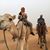 Cheryl Wylie-Peterson's profile image
