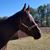 Kelly Weir's profile image