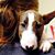 Nicole Schiereck's profile image