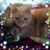 Mb Holtz's profile image