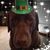 Holly Jo's profile image