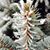 Dolores de Lejos's profile image