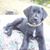 Jaleesa Burdick's profile image