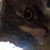 Matthew Kristian Jensen's profile image