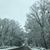 Denise Doyon's profile image