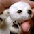Monica Leche's profile image