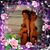Teresa Kirchoff's profile image