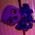 Patrick Payne's profile image