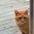 Michelle Kelly's profile image
