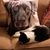 Chris Holder's profile image