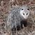 Sharon Hubbard-Rodgers's profile image