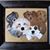 Barbara Mayhew Wesner's profile image