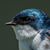 Jeff Hapeman's profile image