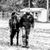 Mrv Cattle's profile image