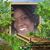 Betty Lawson's profile image