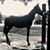 Pedro Sanchez's profile image