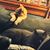 Janice Sparks Grahe's profile image