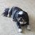 Carol VanDoren's profile image