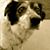Genevieve Johnson's profile image