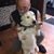 John Morelli's profile image