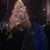 Pauline Saynor's profile image