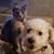 Terri Montgomery-Martin's profile image