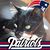 Debbie Kenoyer's profile image