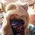 Chris Barr's profile image