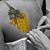 Jennifer Harris Ashcroft's profile image