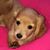 MaryLynn Henchey's profile image