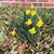 Mary Ann Vrolyk Stewart's profile image