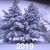 Patricia Frank Graves's profile image