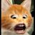 Felicia Maciel's profile image