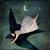 Marcella Barbarino's profile image