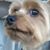 Debi Washburn-Sykes's profile image