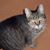 Nicole Covet Richter's profile image