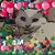 Alexandria Welker's profile image
