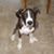 Jenn Totten's profile image