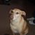 Kimberly Klobnak Stabley's profile image