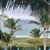 Suzanne Shaffer Begley's profile image