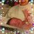 Tracy Ackerman Park's profile image