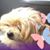 Elaine Huntley's profile image