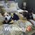 Tia Sibert Falls's profile image