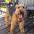 Rhonda Metcalf's profile image
