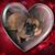 Bernadette Black Sellers's profile image