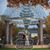 Amy Steensland-Rickard's profile image