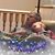 Michael Bennett's profile image