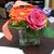 Bobbi Abraham - Sisler's profile image